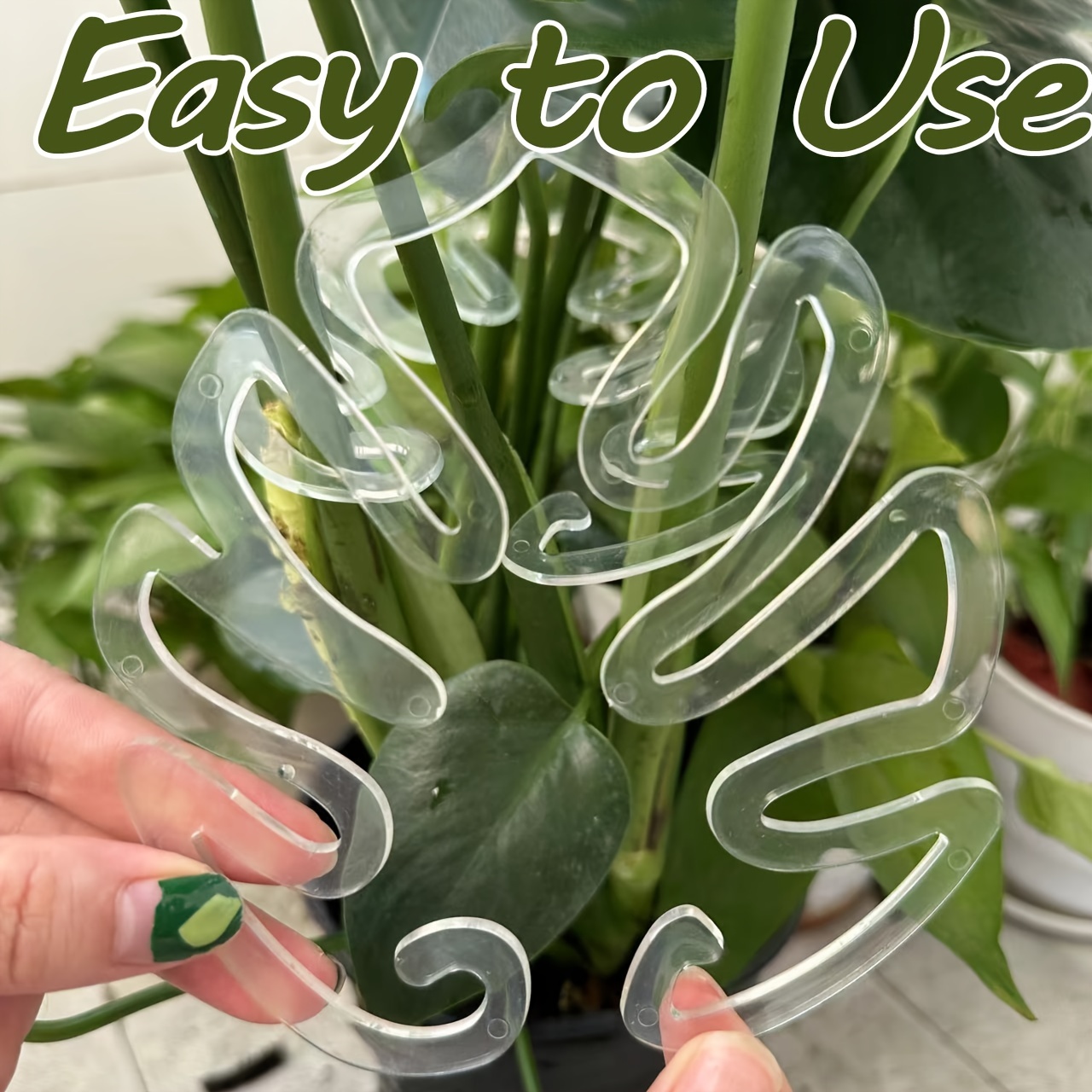 Flexible Plastic Monstera Plan - Variegated Monstera Node review and price