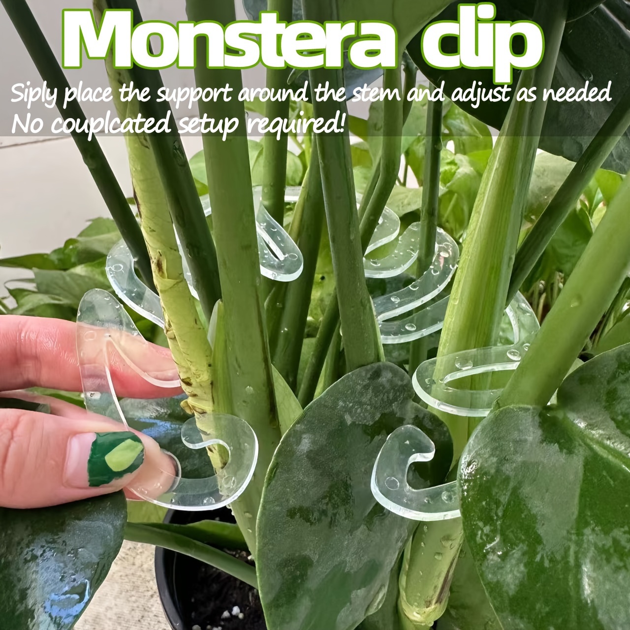 Flexible Plastic Monstera Plan - Variegated Monstera Node review and price