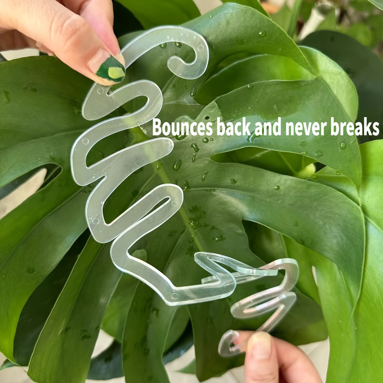 Flexible Plastic Monstera Plan - Variegated Monstera Node review and price