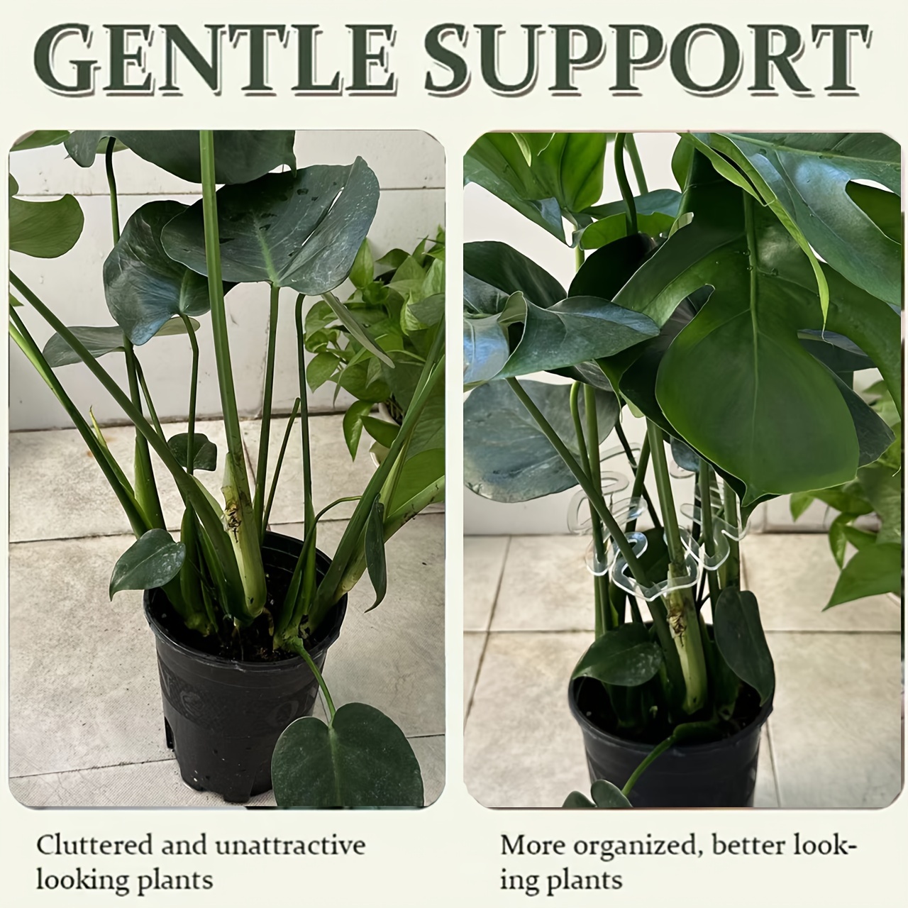 Flexible Plastic Monstera Plan - Variegated Monstera Node review and price