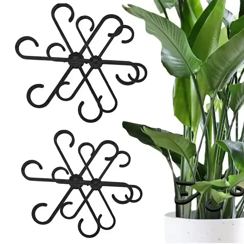 Stem Support Alocasia Monstera - Variegated Monstera Node review and price