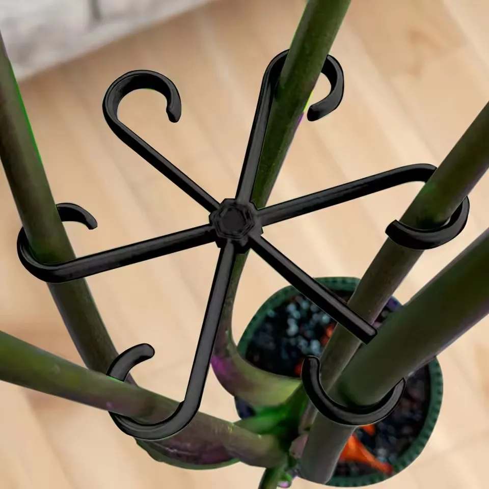 Stem Support Alocasia Monstera - Variegated Monstera Node review and price