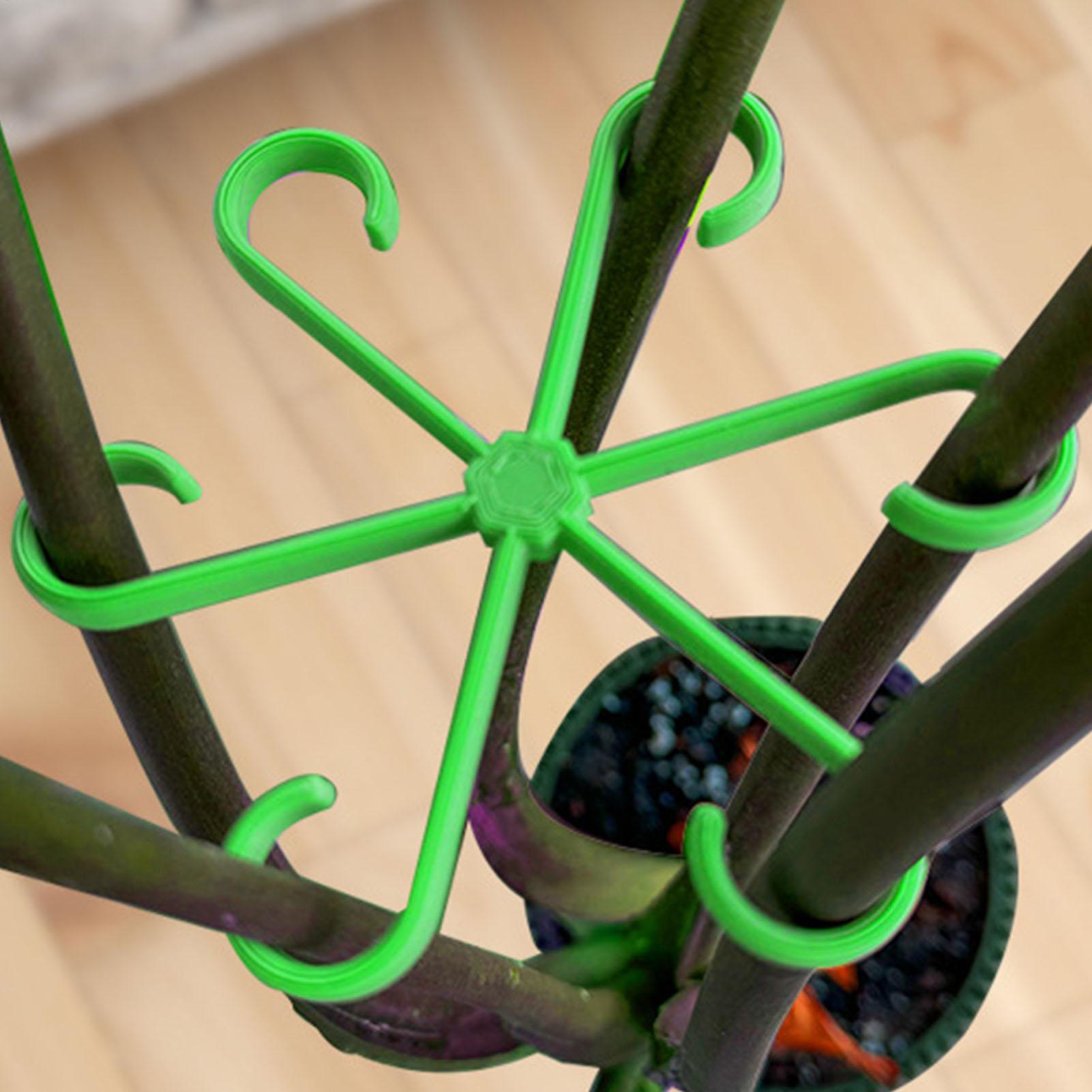 4Pcs Plants Stem Support Clips - Variegated Monstera Node review and price