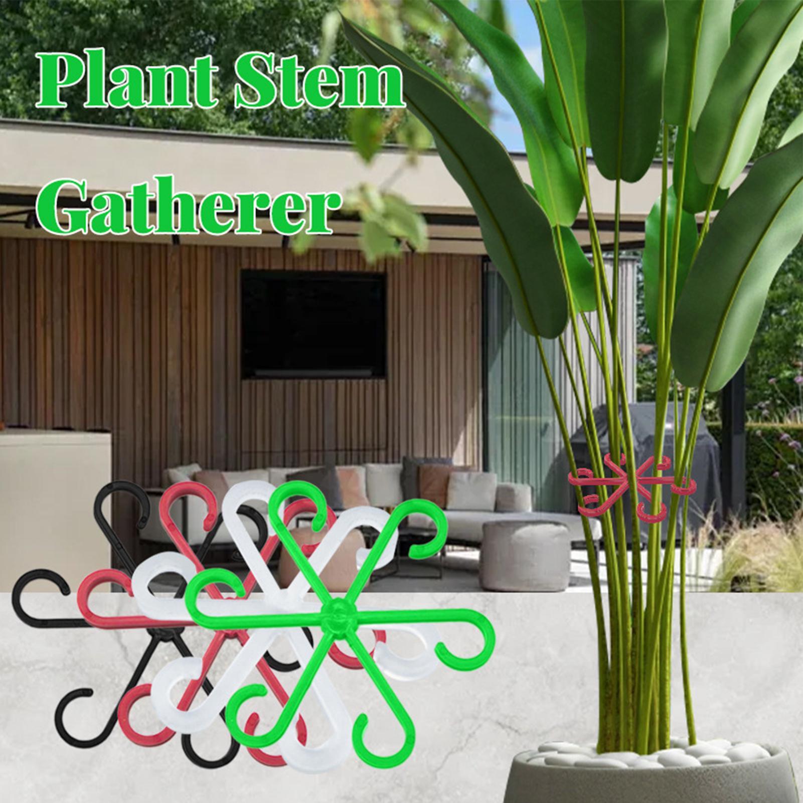 4Pcs Plants Stem Support Clips - Variegated Monstera Node review and price